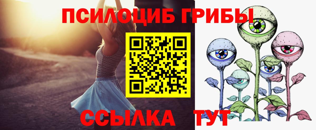 Псилоцибиновые грибы Psilocybe Воркута