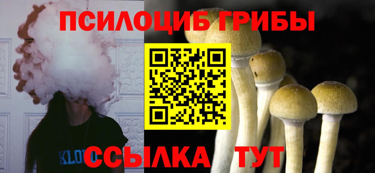Воркута  Галлюциногенные грибы Psilocybe  Вход с VPN 